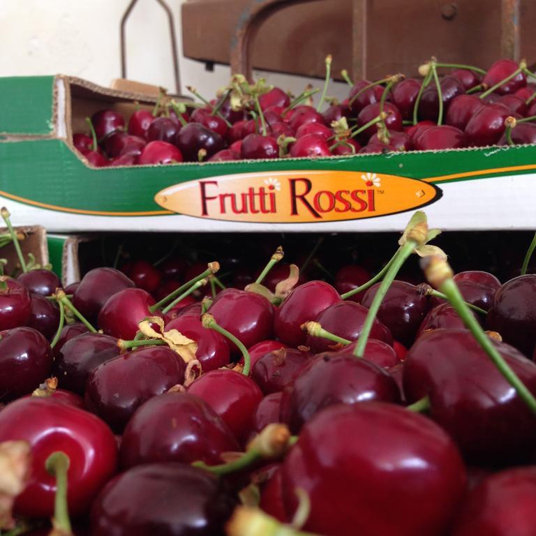 Agriturismo Fruttirossi Trofarello Εξωτερικό φωτογραφία