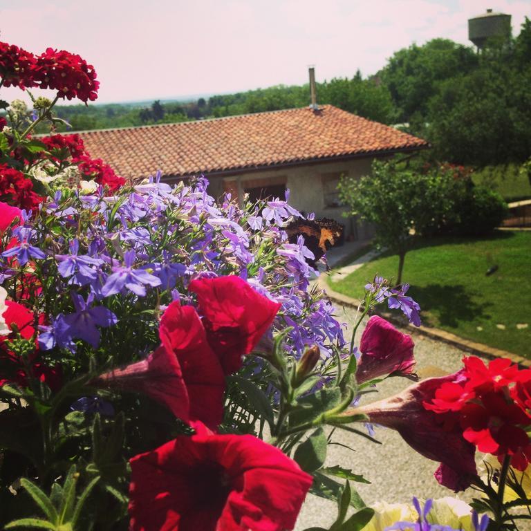 Agriturismo Fruttirossi Trofarello Εξωτερικό φωτογραφία